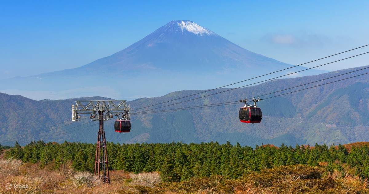 Mount Fuji, Hakone, Kamakura, and Enoshima Day Trip] Pirate Ship